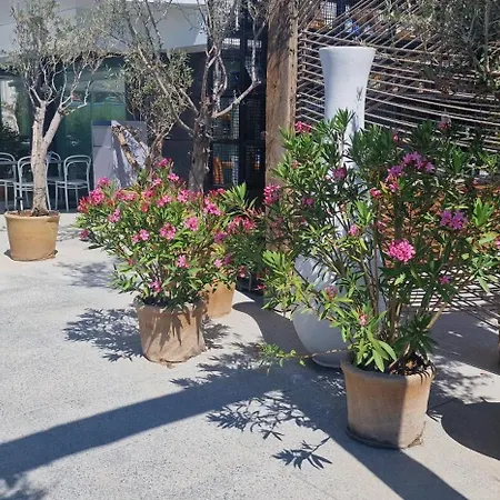 Apartamento The Queen Infinity Pool&spa Mamaia Nord *